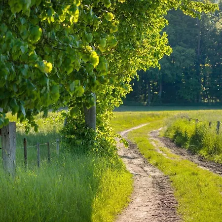Modernes Mit Sauna Casa vacanze